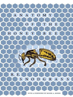 cover image of Anatomy of the Honey Bee